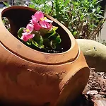 Casa Carmen *